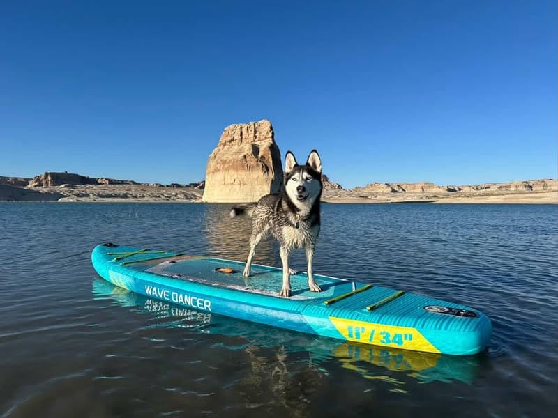 TIGERXBANG aufblasbares SUP Board, 335 cm, mit Komplett-Set, Himmelblau